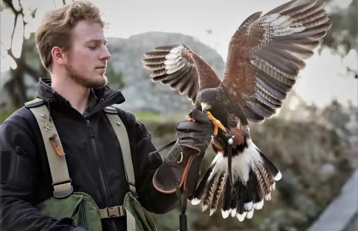 GNA BIOGESTION - Fauconnier